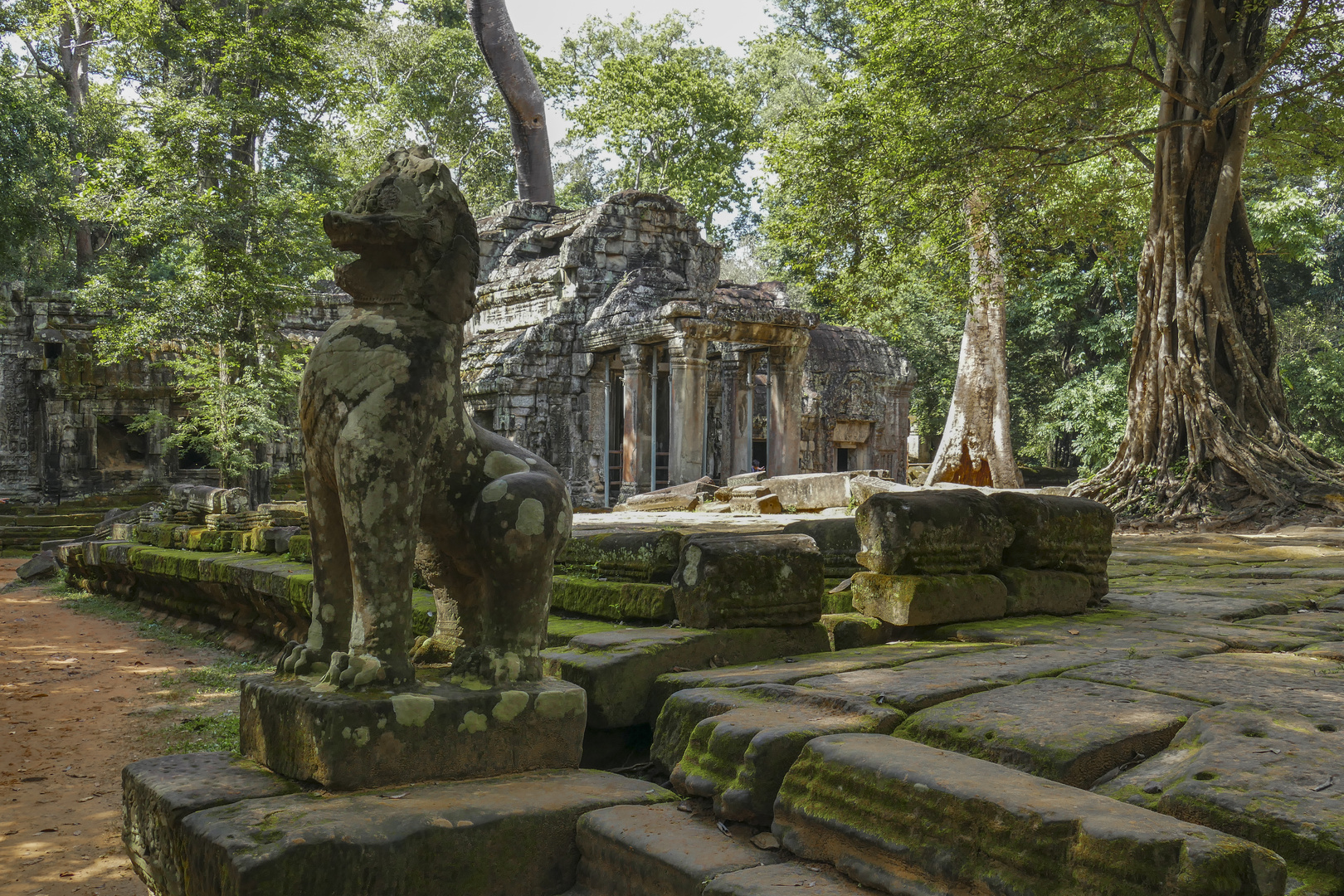 ...der Wächter des Ta Prohm...