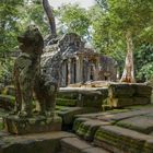 ...der Wächter des Ta Prohm...