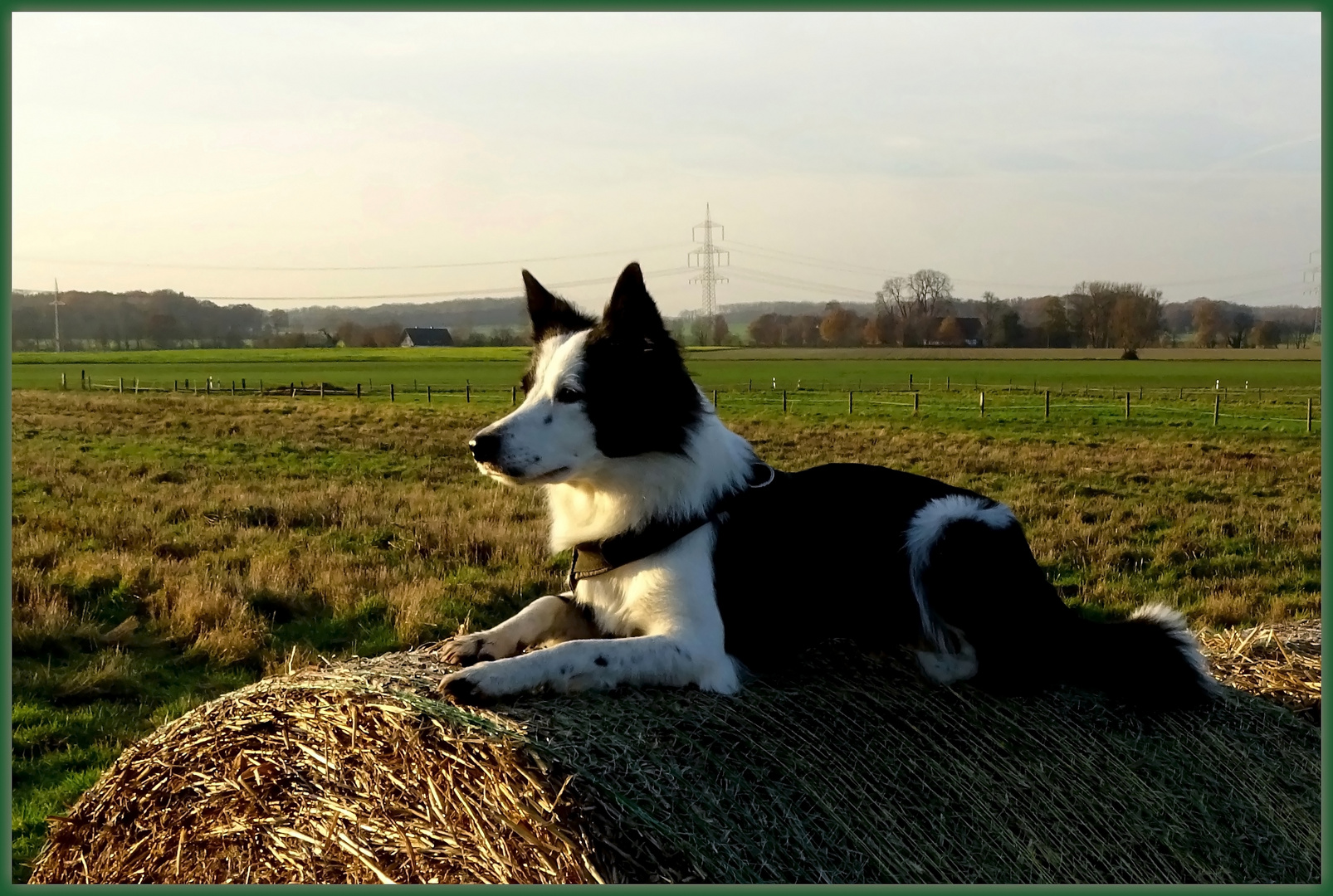 Der Wächter ...