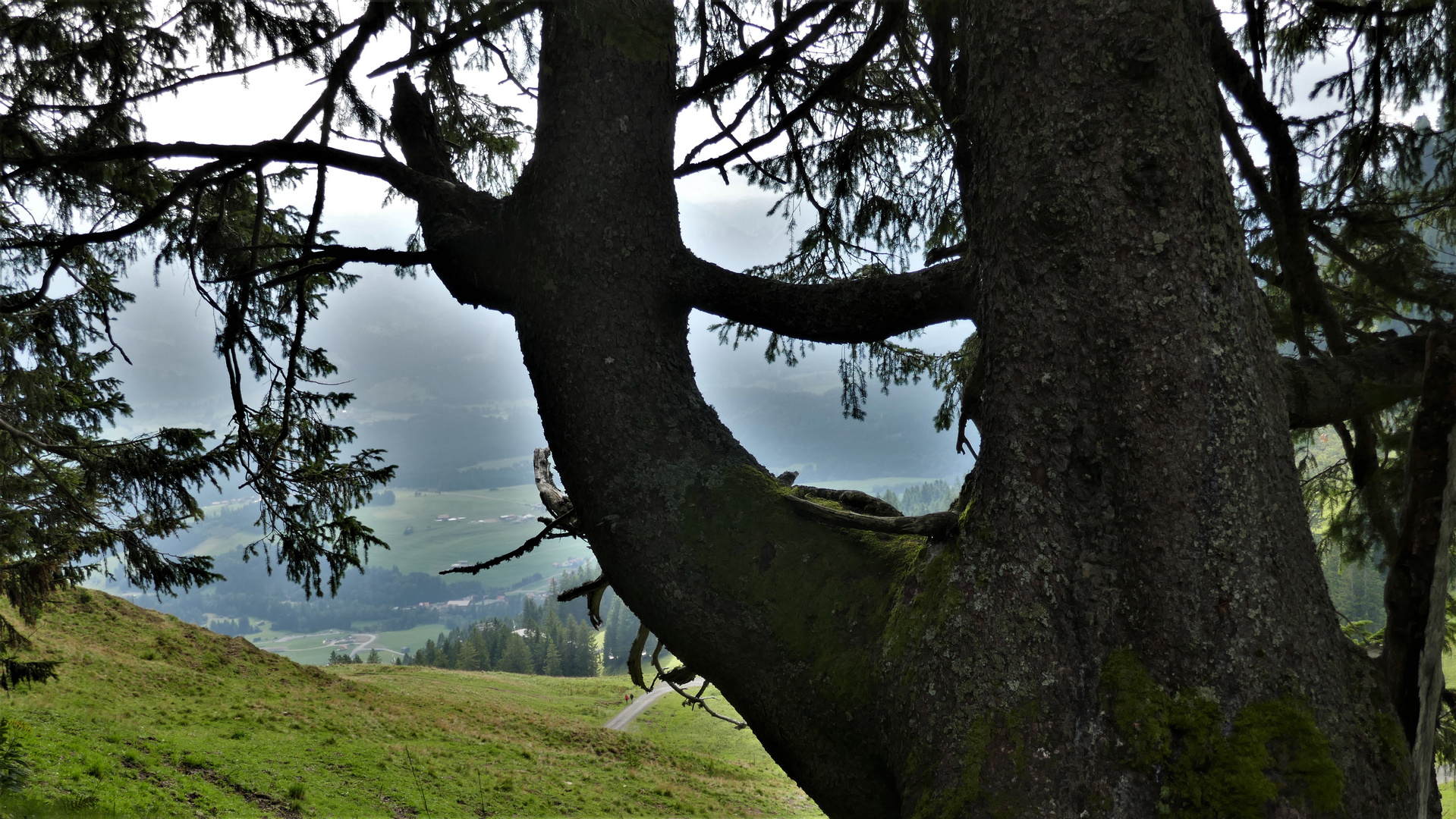 Der Wächter überm Illertal