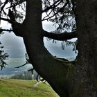 Der Wächter überm Illertal