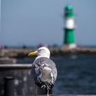 Der Wächter von Warnemünde