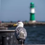 Der Wächter von Warnemünde