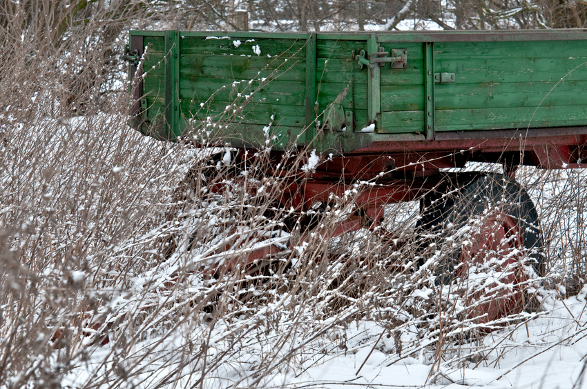 Der Wagen