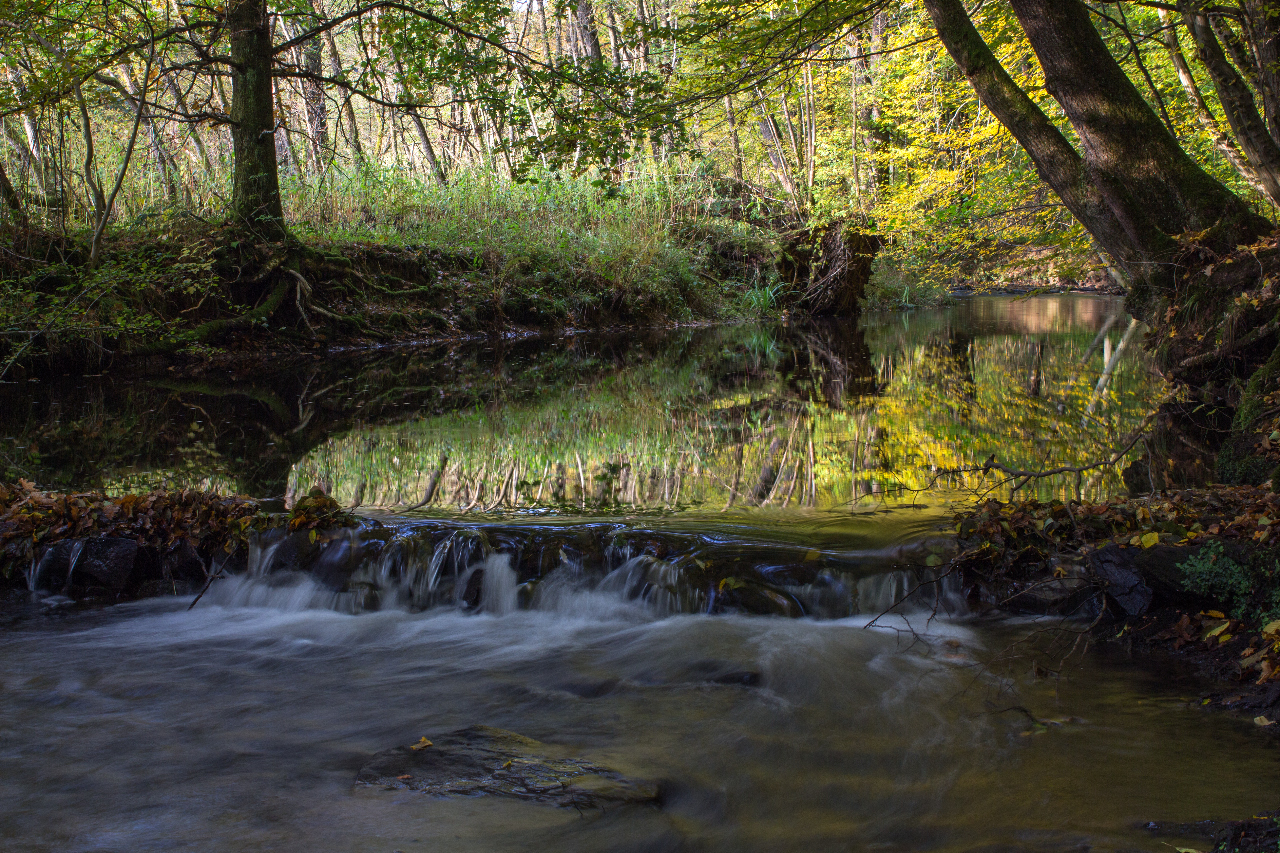 Der Wahnbach - Natur in Much!