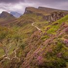 Der wahrscheinlich meistfotografierte Baum Schottlands