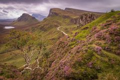 Der wahrscheinlich meistfotografierte Baum Schottlands