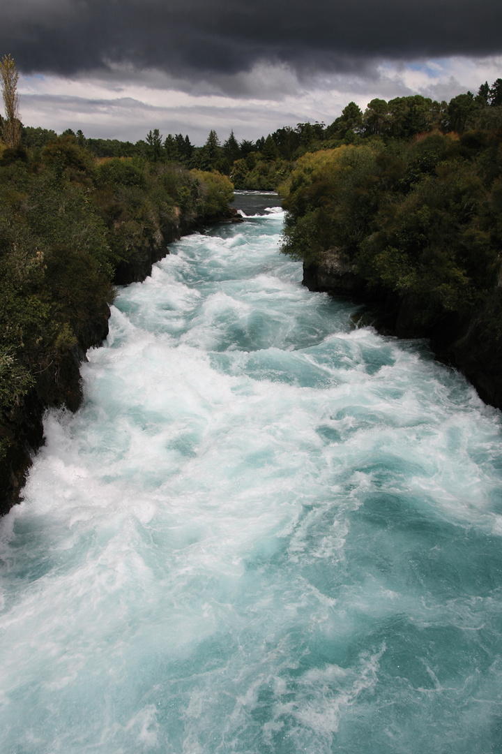 Der Waikato River - da will man nicht rein fallen...