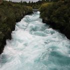 Der Waikato River - da will man nicht rein fallen...