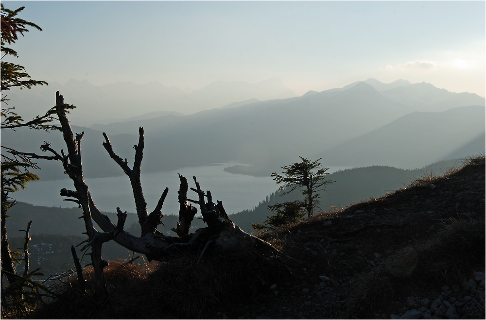 Der Walchensee