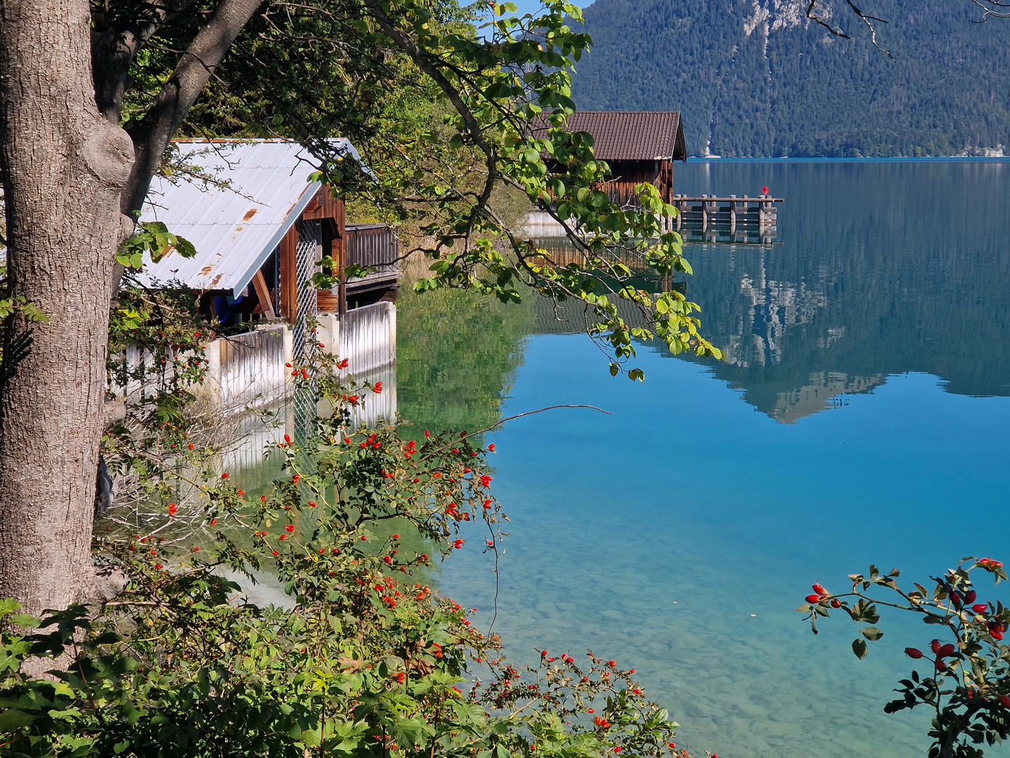 Der Walchensee im Herbst