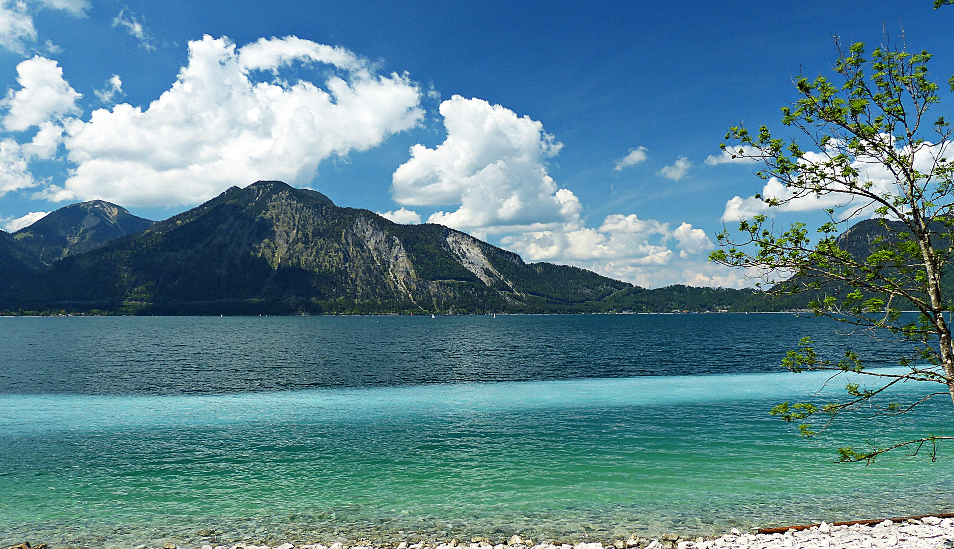 Der Walchensee im Mai