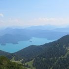 Der Walchensee vom Herzogstand