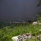 Der Wald am dünsten :-)