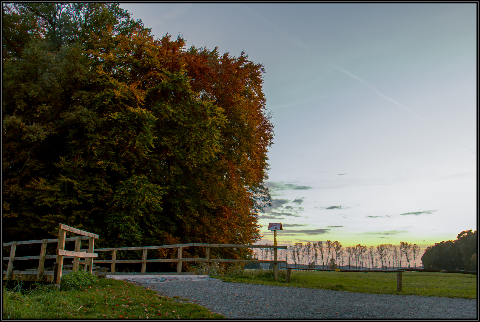 Der Wald bei Sonnenuntergang