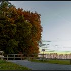 Der Wald bei Sonnenuntergang