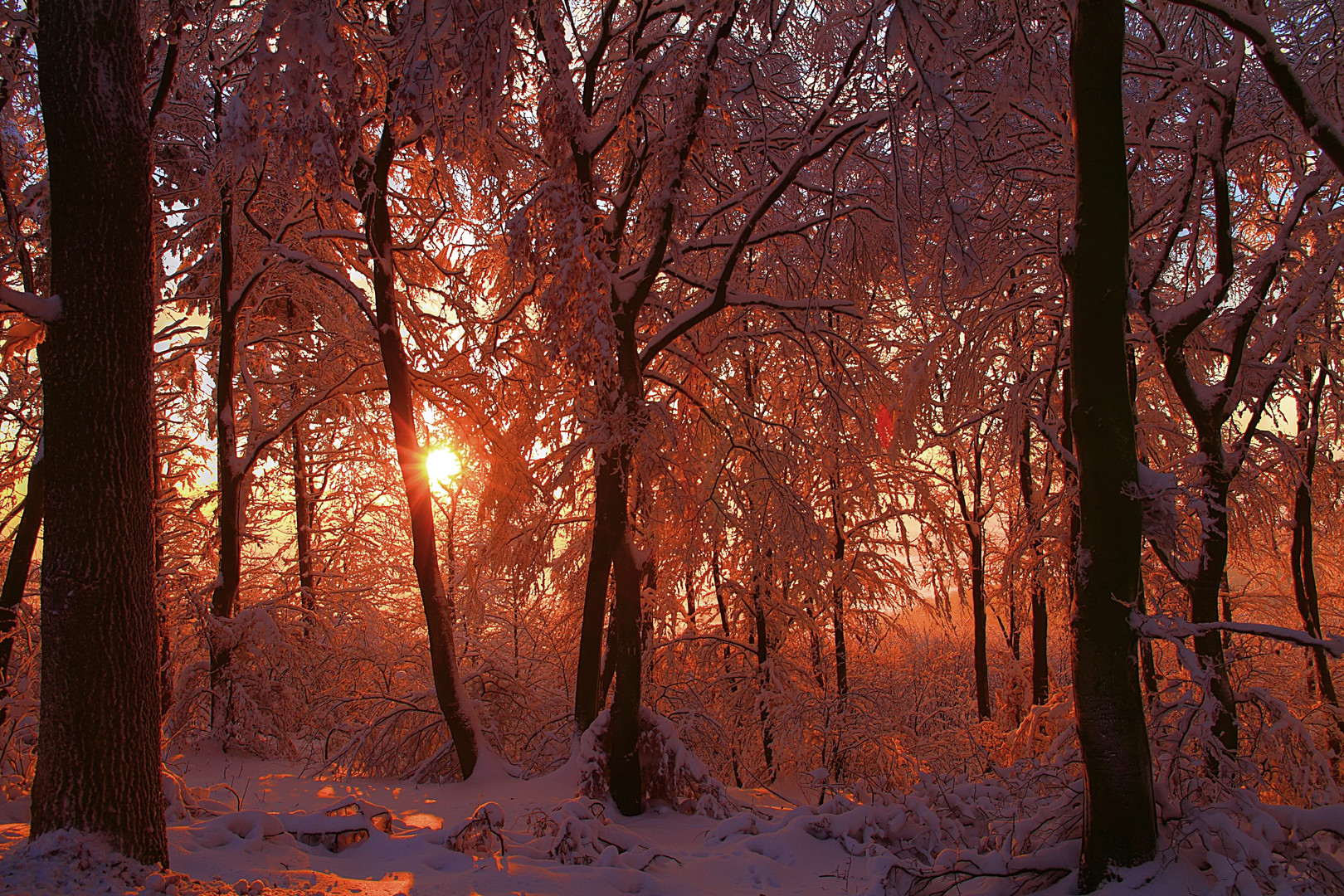 ...der Wald brennt.