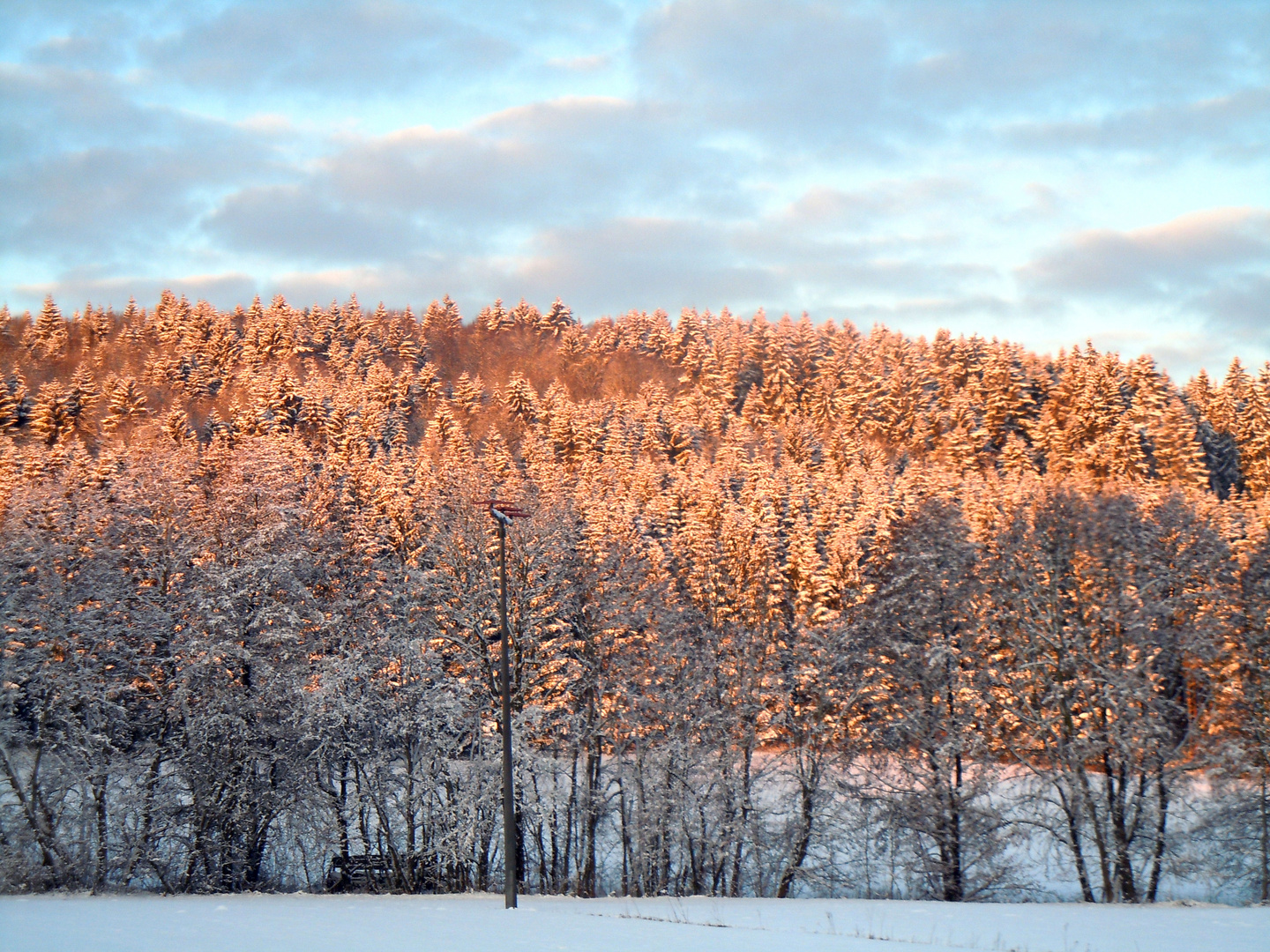 Der Wald brennt:-)