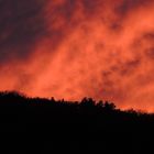 Der Wald brennt beim Untergang