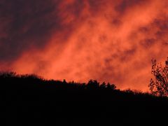 Der Wald brennt beim Untergang