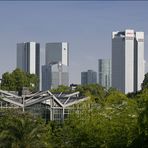 Der Wald holt sich die Stadt zurück