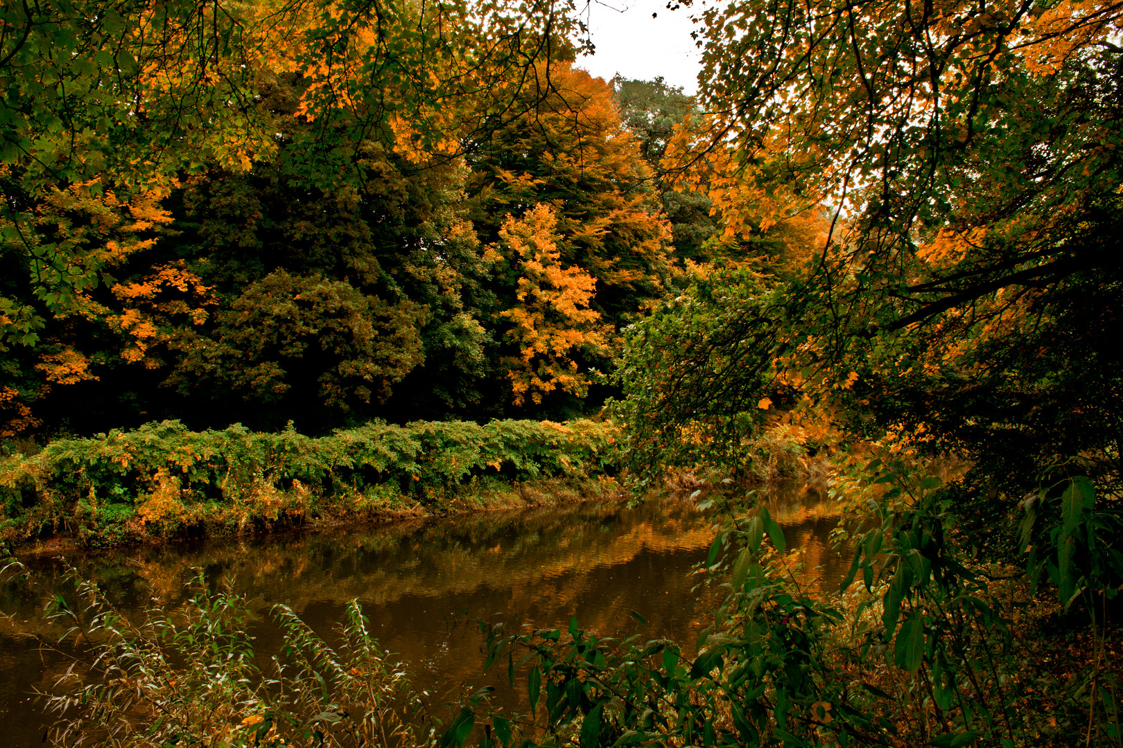 Der Wald im Herbst verborgen...