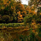 Der Wald im Herbst verborgen...