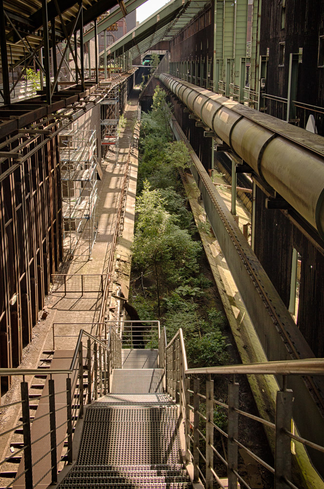 ... der Wald im Industriedenkmal