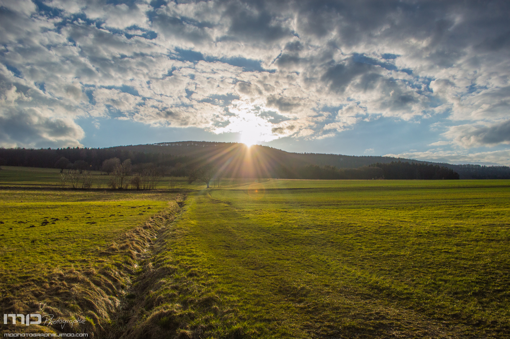 Der Wald in sicht...