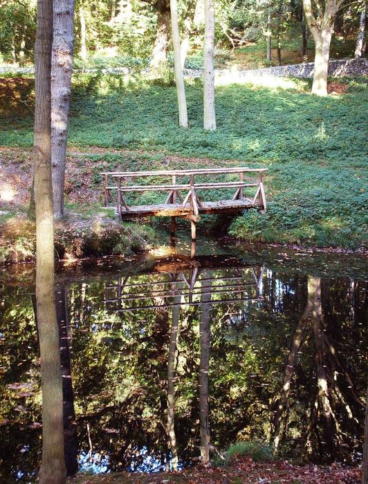 Der Wald ist eine Komposition der leisen Töne