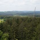 Der Wald ist fertig. Der Letzte Stamm hängt am Haken