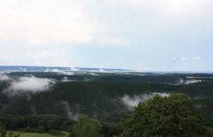 Der Wald kocht nach dem Gewitter