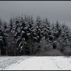 Der Wald steht schwarz....