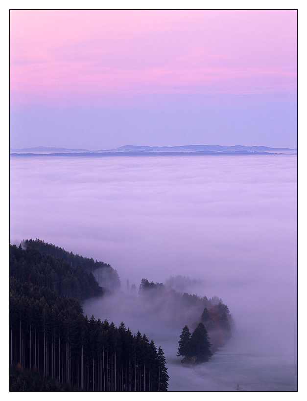 Der Wald steht schwarz und schweiget...