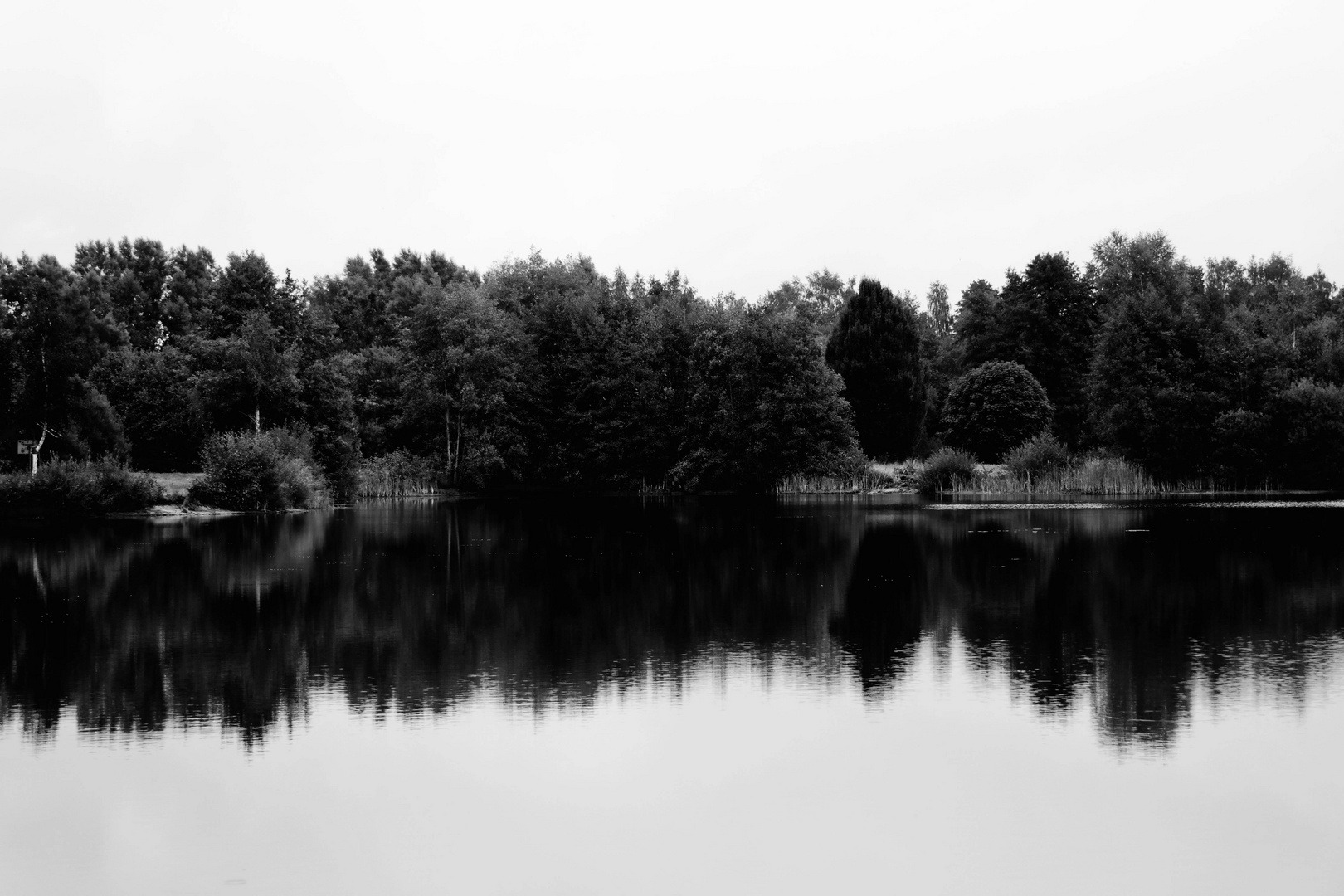 Der Wald steht schwarz und schweiget... 