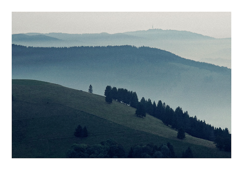 Der Wald steht schwarz und schweiget...