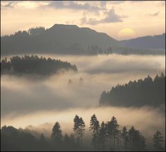 der wald steht schwarz und schweiget......