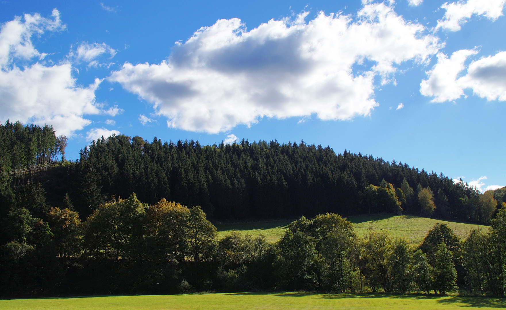 Der Wald steht schwarz und schweiget....