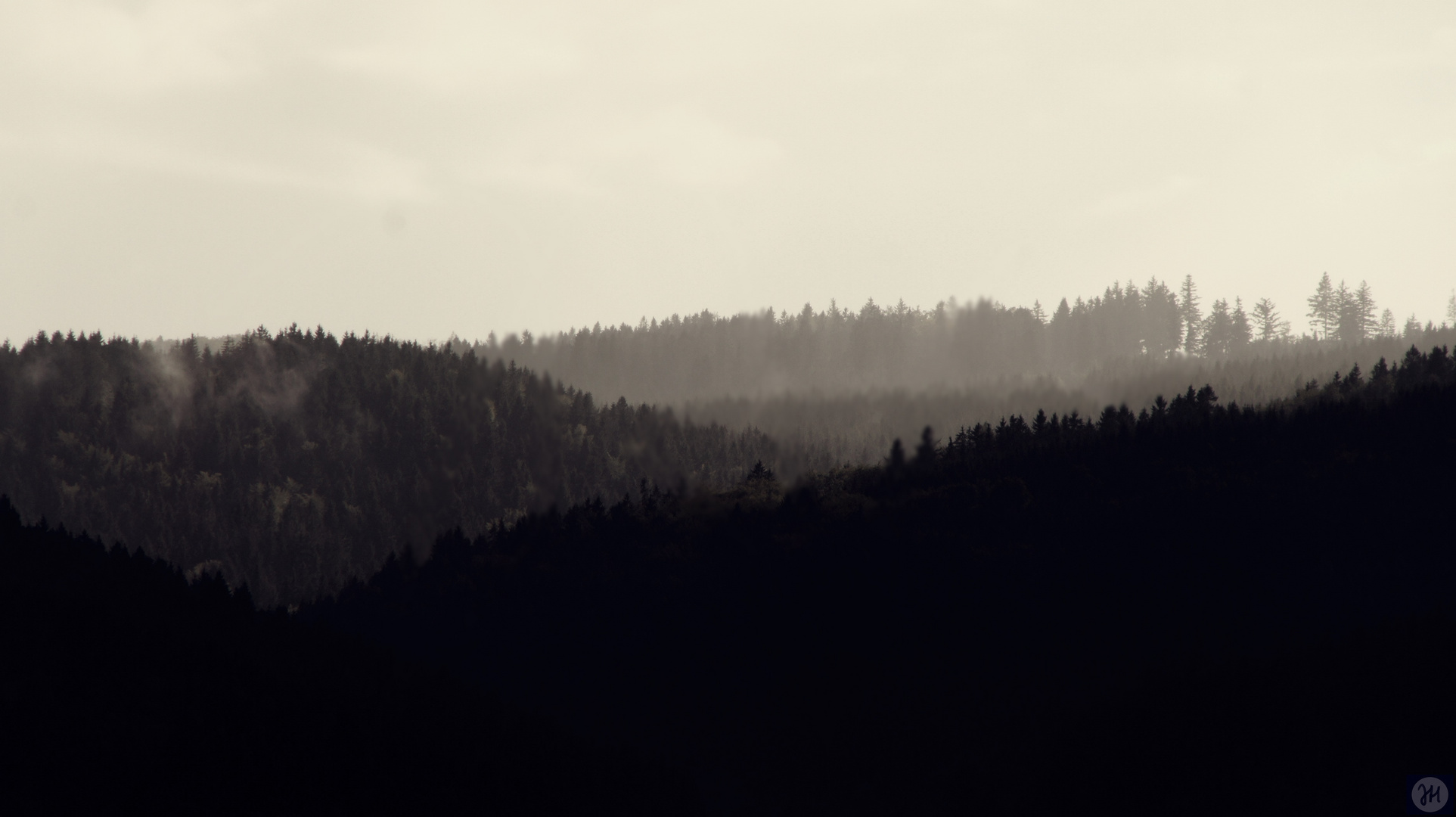 Der Wald steht schwarz und schweiget, und aus den Wiesen steiget der weiße Nebel wunderbar.