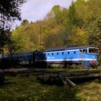 Der Wald und der Zug [Sudety 2014, Nachlese]