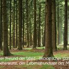 Der Wald unser Freund!