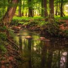 der Waldbach