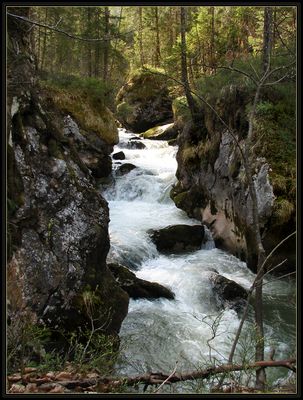 Der Waldbach