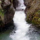 Der Waldbach am Tegernsee