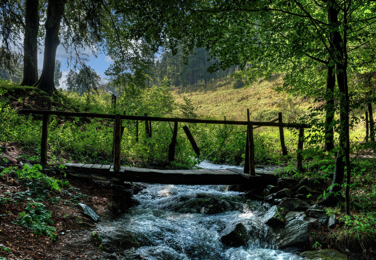 Der Waldbach