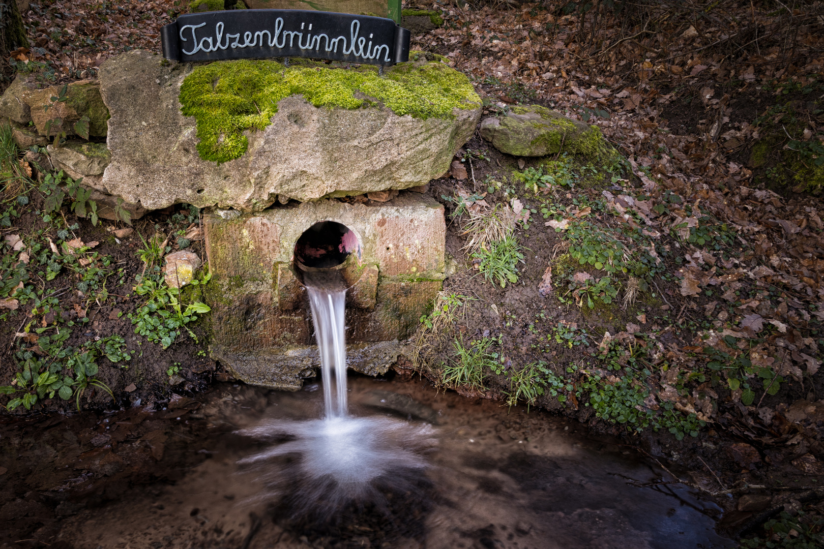 Der Waldbrunnen