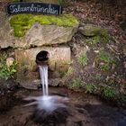 Der Waldbrunnen