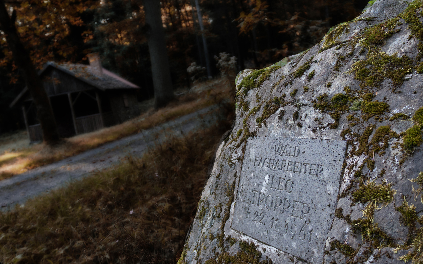 Der Waldfacharbeiter