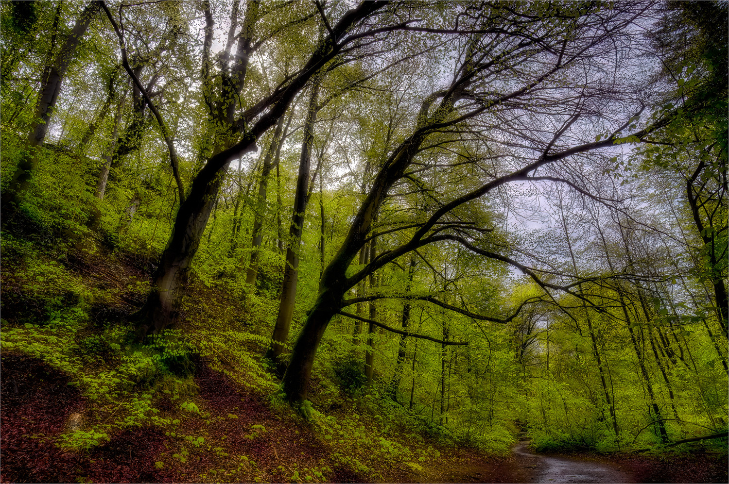 Der Waldfotograf hat ein neues Motiv ...