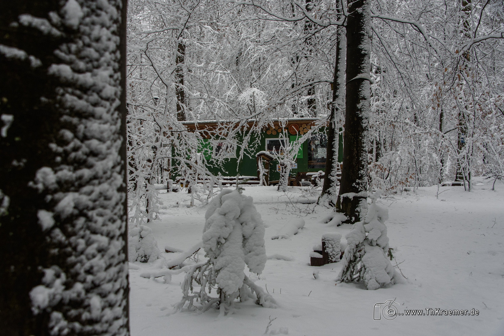 Der Waldkindergarten D75_8900